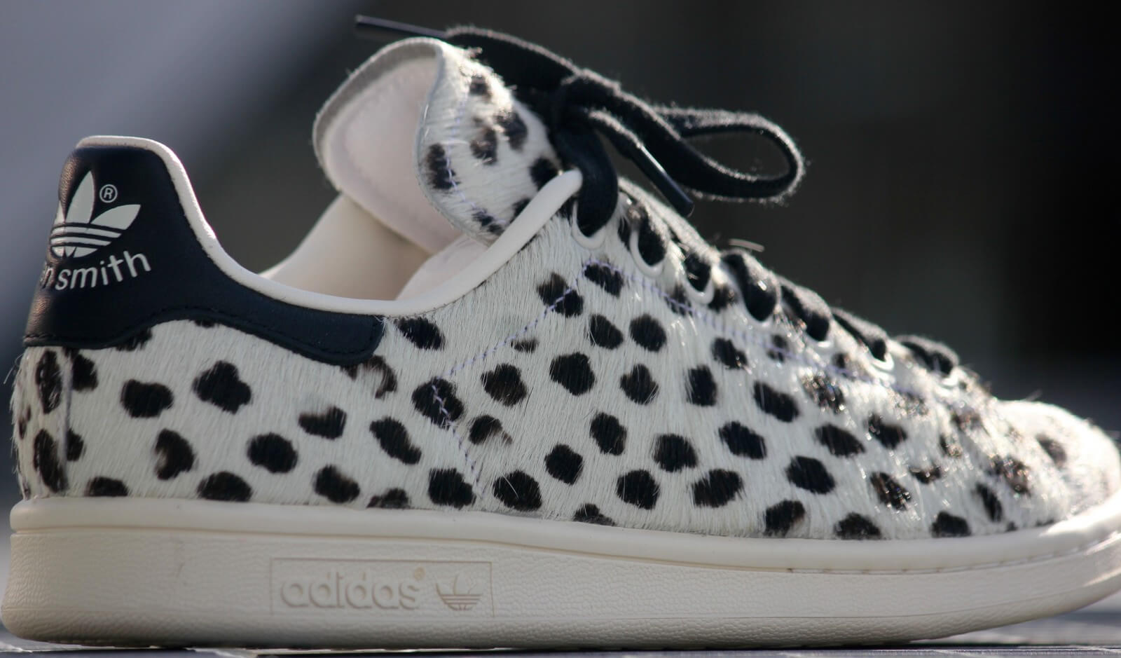 stan smith animal